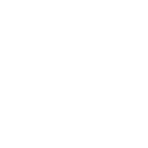 Twenty Seven Club